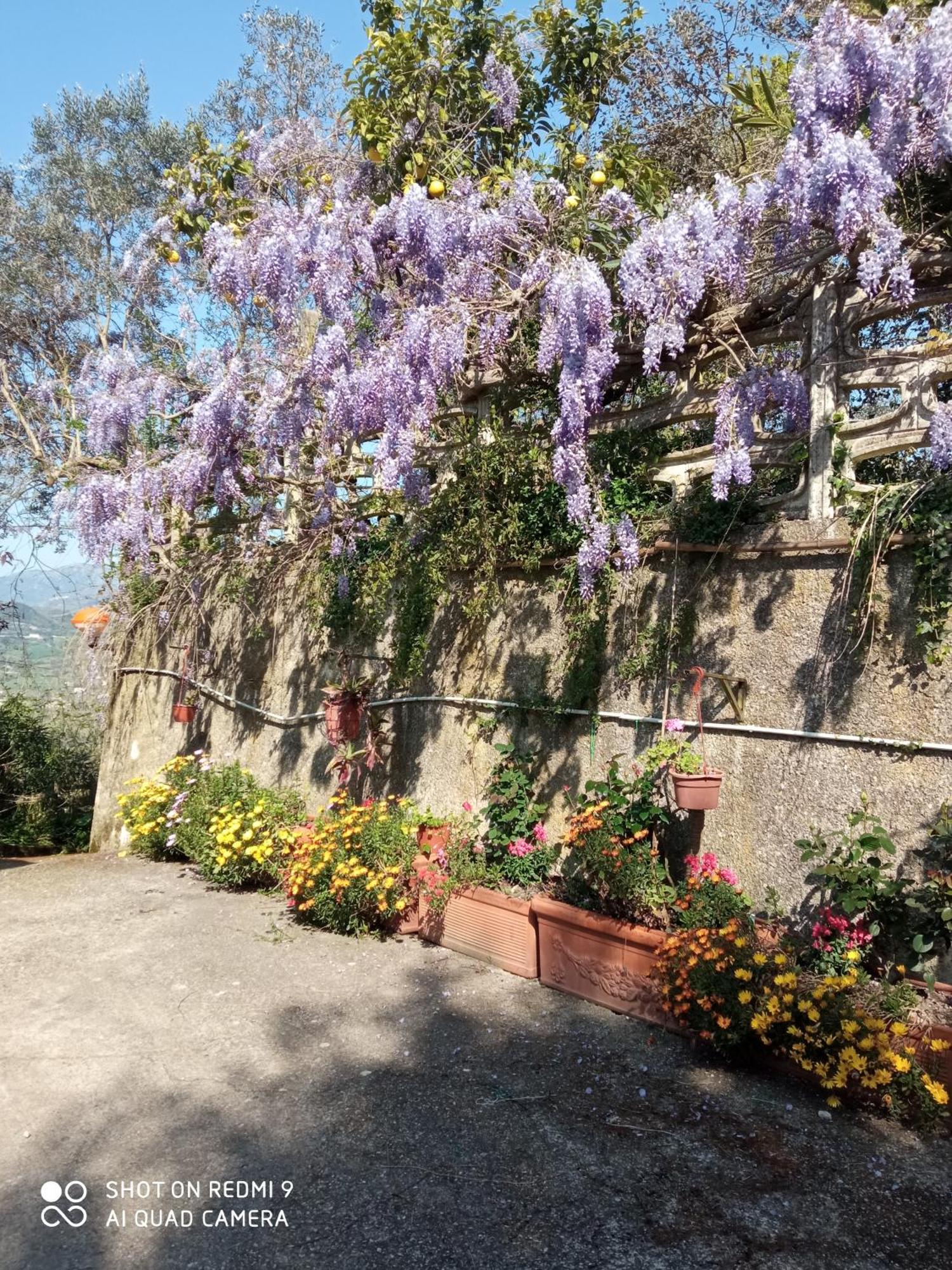 Belvedere Di Caiazzo Екстериор снимка